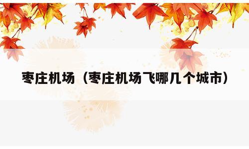 枣庄机场（枣庄机场飞哪几个城市）