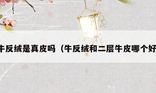 牛反绒是真皮吗（牛反绒和二层牛皮哪个好）