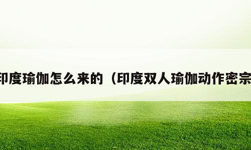 印度瑜伽怎么来的（印度双人瑜伽动作密宗）