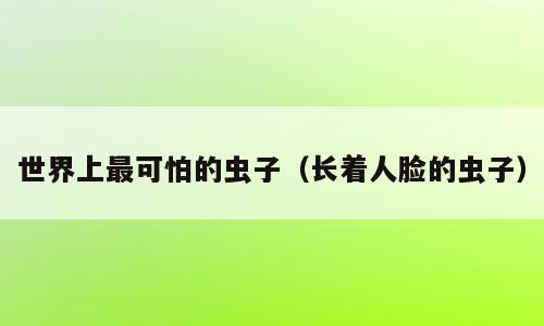 世界上最可怕的虫子（长着人脸的虫子）