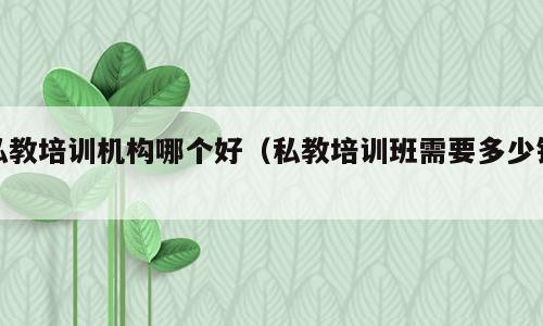 私教培训机构哪个好（私教培训班需要多少钱）