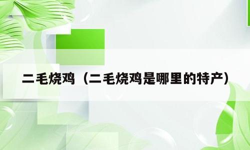 二毛烧鸡（二毛烧鸡是哪里的特产）