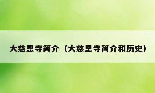 大慈恩寺简介（大慈恩寺简介和历史）