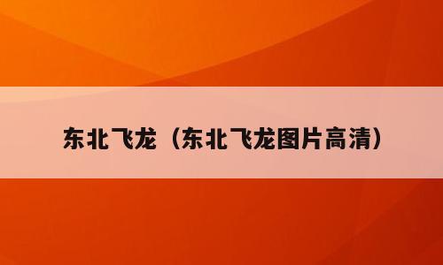东北飞龙（东北飞龙图片高清）