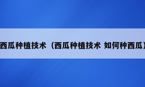 西瓜种植技术（西瓜种植技术 如何种西瓜）