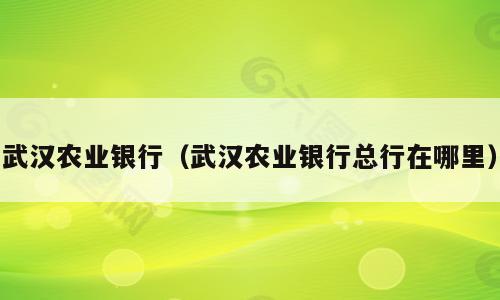 武汉农业银行（武汉农业银行总行在哪里）