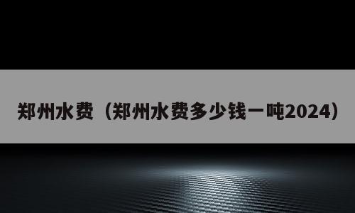 郑州水费（郑州水费多少钱一吨2024）