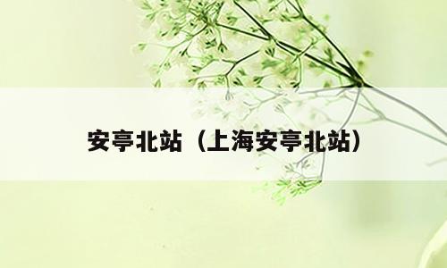 安亭北站（上海安亭北站）