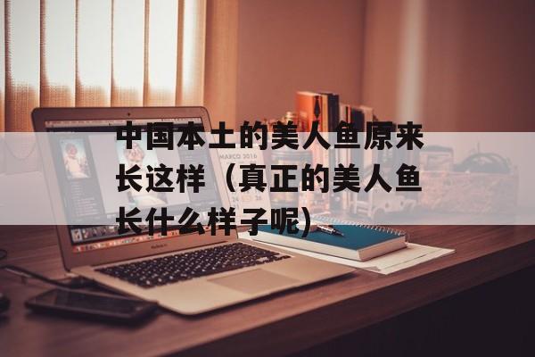 中国本土的美人鱼原来长这样（真正的美人鱼长什么样子呢)