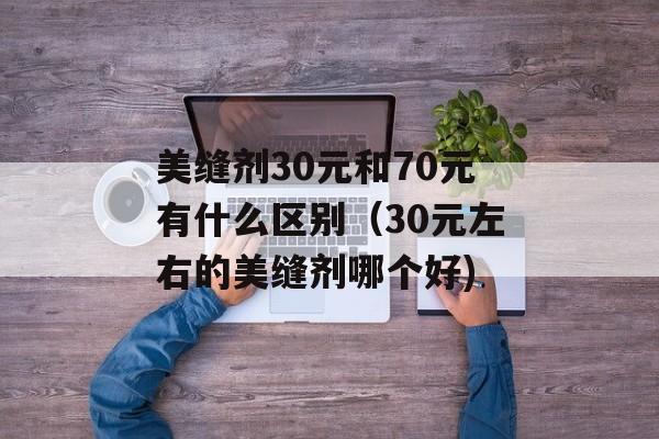 美缝剂30元和70元有什么区别（30元左右的美缝剂哪个好)