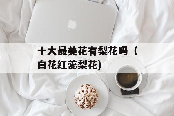 十大最美花有梨花吗（白花红蕊梨花)
