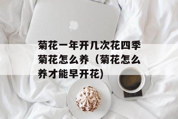 菊花一年开几次花四季菊花怎么养（菊花怎么养才能早开花)