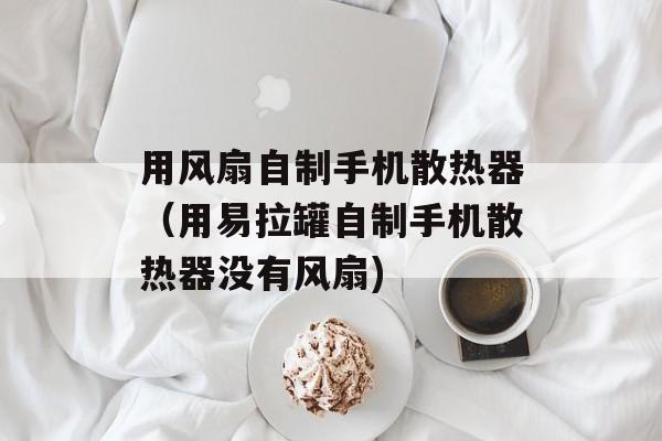 用风扇自制手机散热器（用易拉罐自制手机散热器没有风扇)