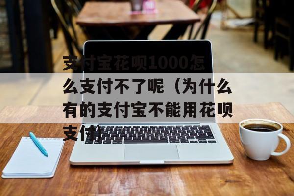 支付宝花呗1000怎么支付不了呢（为什么有的支付宝不能用花呗支付)