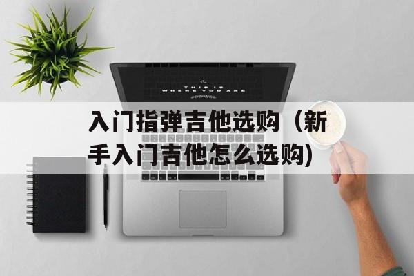 入门指弹吉他选购（新手入门吉他怎么选购)
