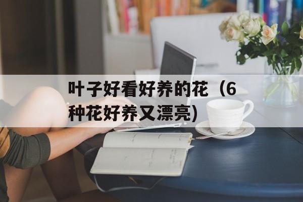 叶子好看好养的花（6种花好养又漂亮)