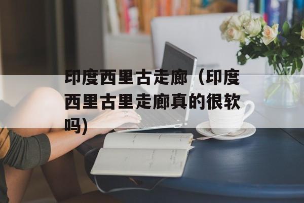 印度西里古走廊（印度西里古里走廊真的很软吗)
