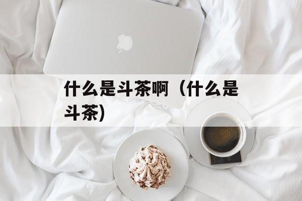 什么是斗茶啊（什么是斗茶)
