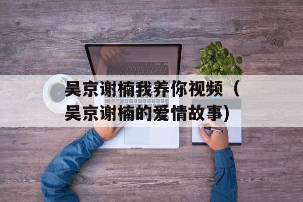 吴京谢楠我养你视频（吴京谢楠的爱情故事)
