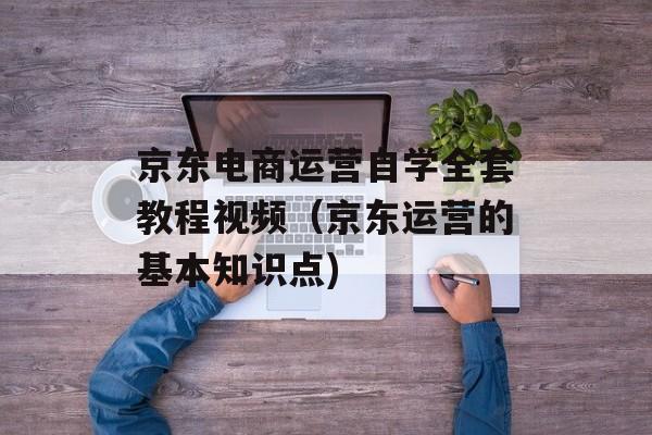 京东电商运营自学全套教程视频（京东运营的基本知识点)
