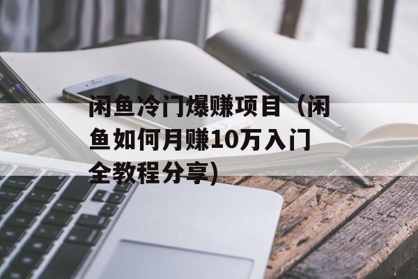 闲鱼冷门爆赚项目（闲鱼如何月赚10万入门全教程分享)