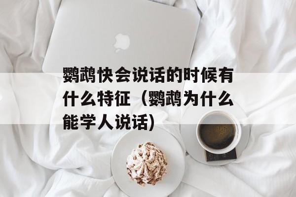 鹦鹉快会说话的时候有什么特征（鹦鹉为什么能学人说话)