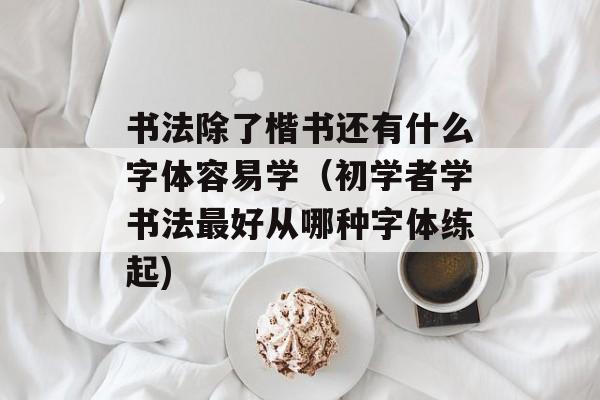 书法除了楷书还有什么字体容易学（初学者学书法最好从哪种字体练起)