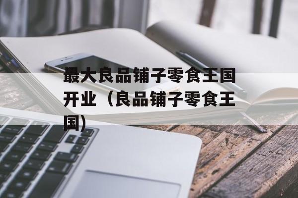 最大良品铺子零食王国开业（良品铺子零食王国)