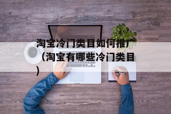 淘宝冷门类目如何推广（淘宝有哪些冷门类目)