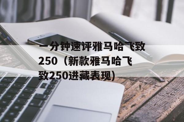 一分钟速评雅马哈飞致250（新款雅马哈飞致250进藏表现)