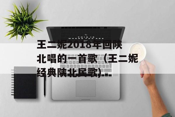 王二妮2018年回陕北唱的一首歌（王二妮经典陕北民歌)