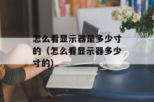 怎么看显示器是多少寸的（怎么看显示器多少寸的)