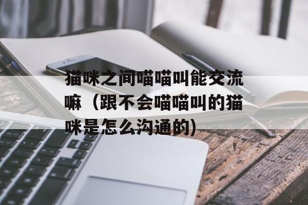 猫咪之间喵喵叫能交流嘛（跟不会喵喵叫的猫咪是怎么沟通的)