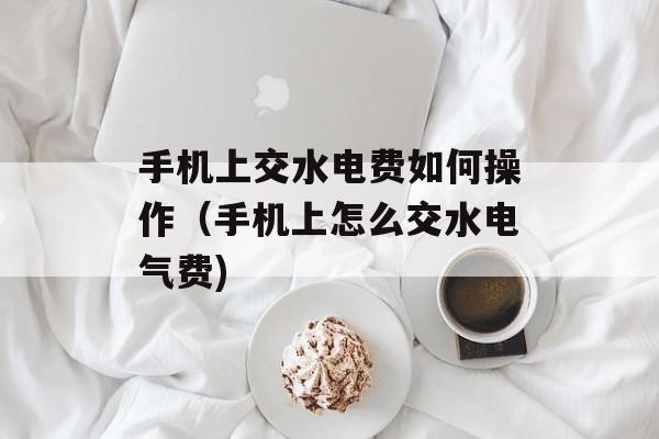 手机上交水电费如何操作（手机上怎么交水电气费)
