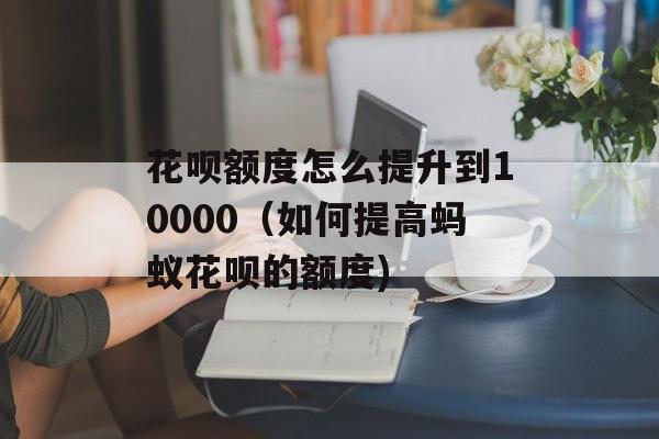 花呗额度怎么提升到10000（如何提高蚂蚁花呗的额度)