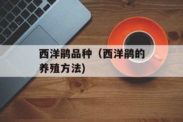 西洋鹃品种（西洋鹃的养殖方法)