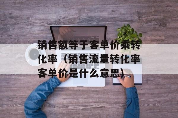 销售额等于客单价乘转化率（销售流量转化率客单价是什么意思)