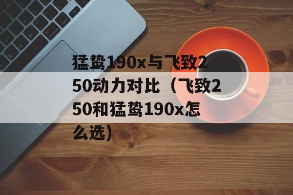 猛鸷190x与飞致250动力对比（飞致250和猛鸷190x怎么选)