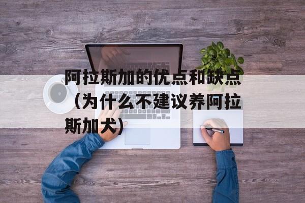 阿拉斯加的优点和缺点（为什么不建议养阿拉斯加犬)