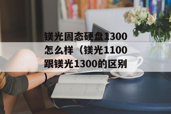 镁光固态硬盘1300怎么样（镁光1100跟镁光1300的区别)