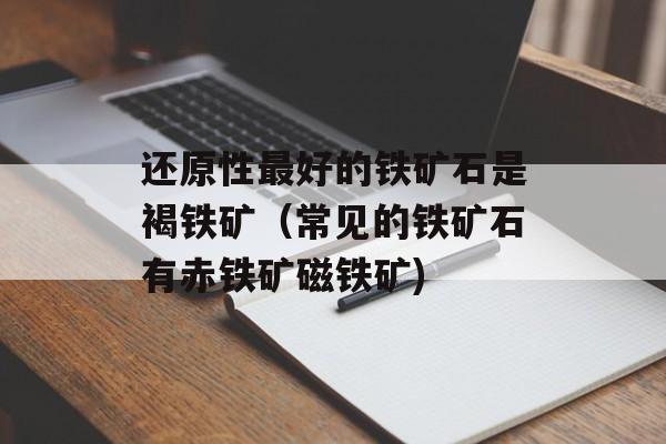 还原性最好的铁矿石是褐铁矿（常见的铁矿石有赤铁矿磁铁矿)