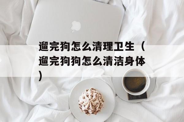 遛完狗怎么清理卫生（遛完狗狗怎么清洁身体)