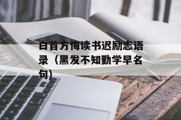 白首方悔读书迟励志语录（黑发不知勤学早名句)