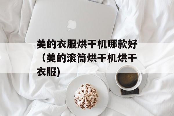美的衣服烘干机哪款好（美的滚筒烘干机烘干衣服)