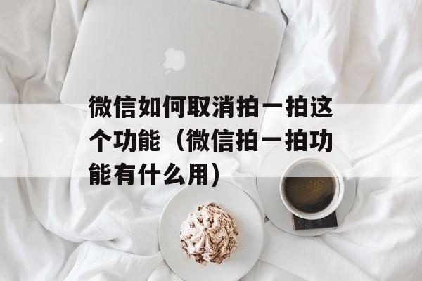 微信如何取消拍一拍这个功能（微信拍一拍功能有什么用)