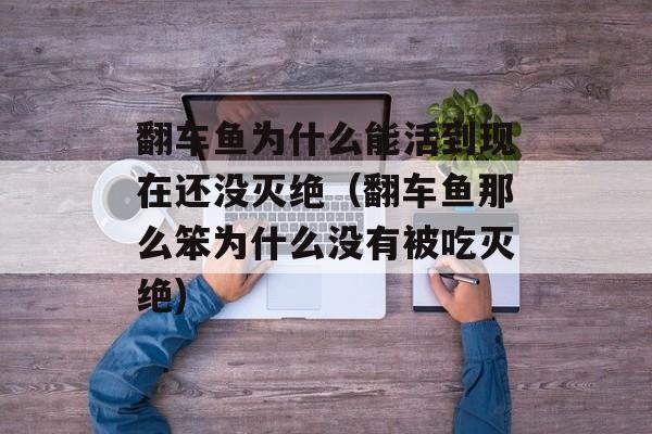 翻车鱼为什么能活到现在还没灭绝（翻车鱼那么笨为什么没有被吃灭绝)
