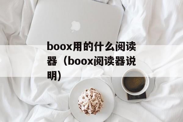 boox用的什么阅读器（boox阅读器说明)