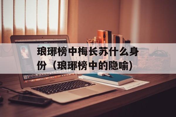 琅琊榜中梅长苏什么身份（琅琊榜中的隐喻)