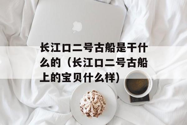 长江口二号古船是干什么的（长江口二号古船上的宝贝什么样)