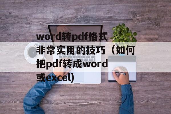 word转pdf格式非常实用的技巧（如何把pdf转成word或excel)